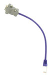 cable patch violet type 33 evadts n§w