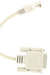 cable rj 45 15 pts